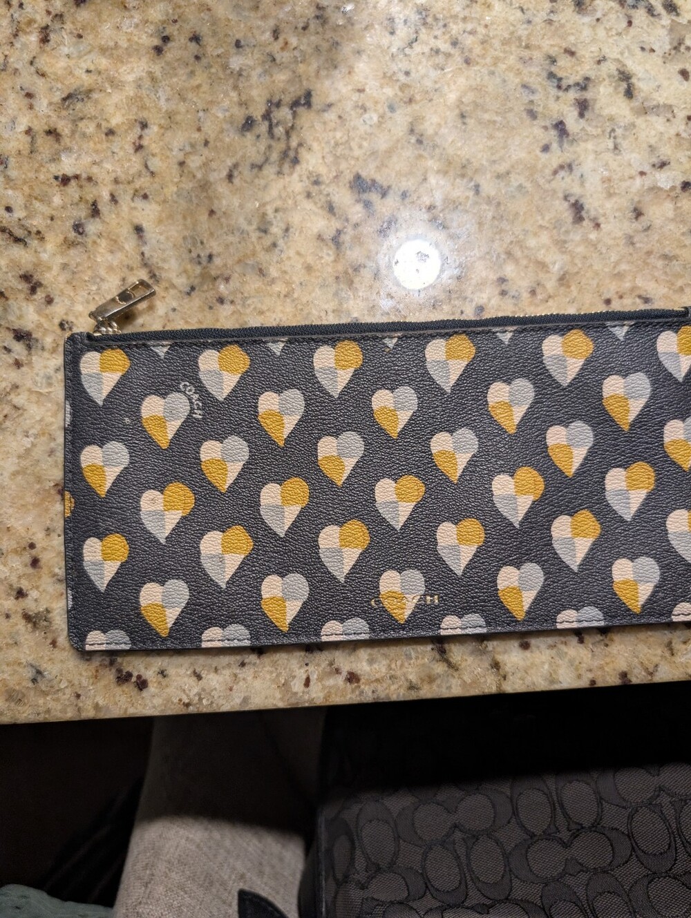 Coach Beauty Or Money Pouch